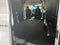 2026 Ford Transit Cargo Van T-350 HD 148" Med Rf 9950 GVWR AWD